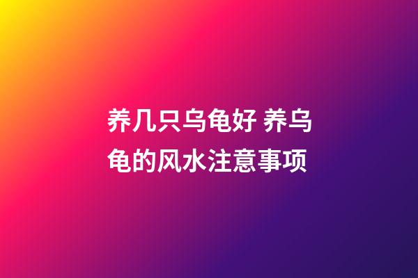 养几只乌龟好 养乌龟的风水注意事项